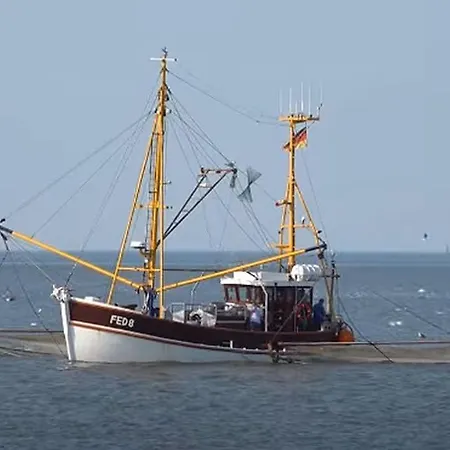 Krabbe